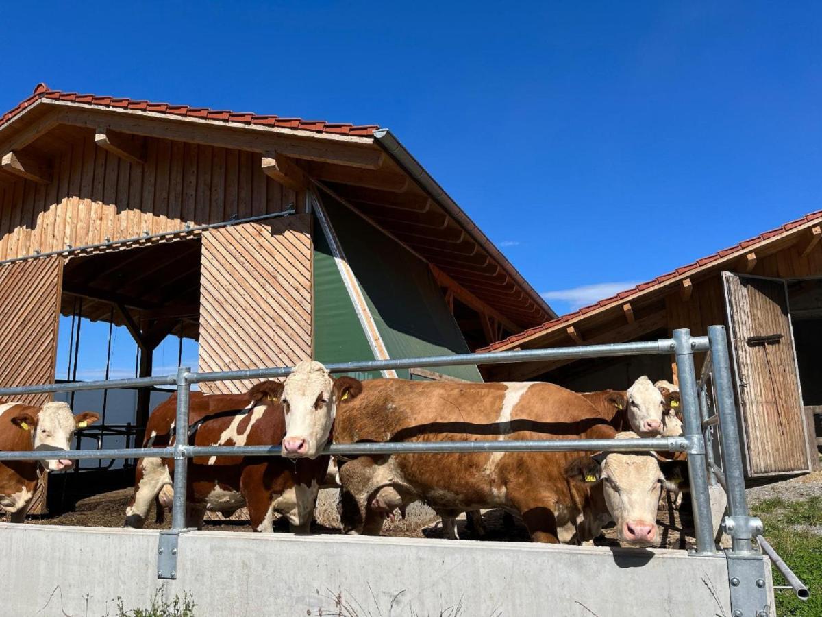Landgasthof Blasini - Pfahlhof Zandt Екстер'єр фото