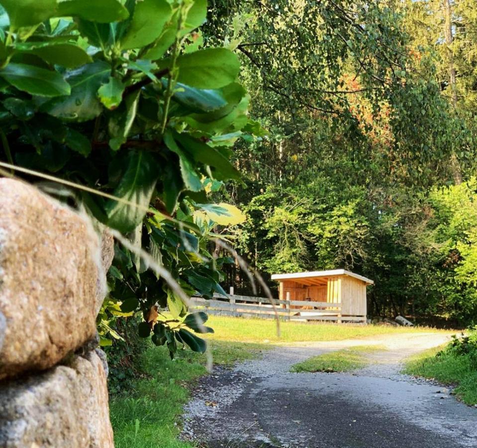 Landgasthof Blasini - Pfahlhof Zandt Екстер'єр фото