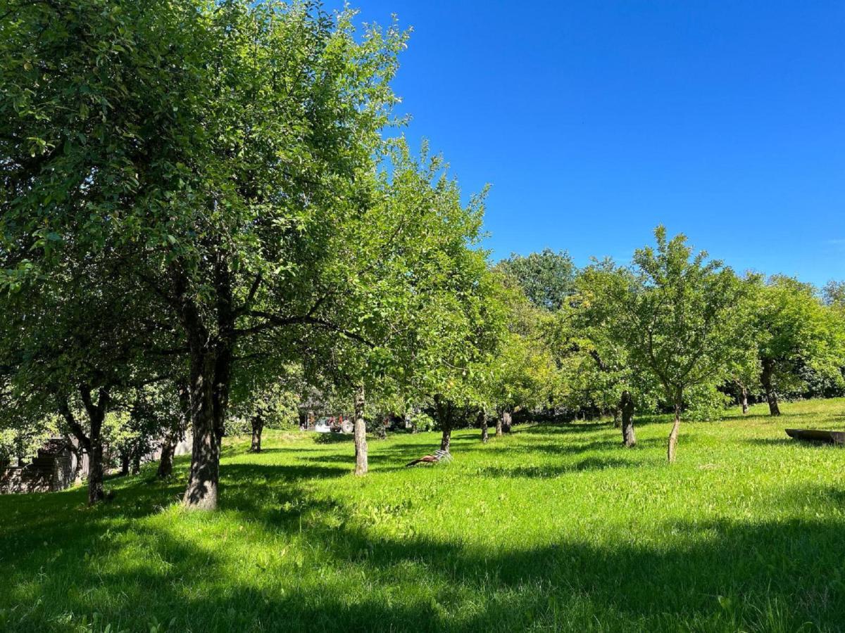 Landgasthof Blasini - Pfahlhof Zandt Екстер'єр фото